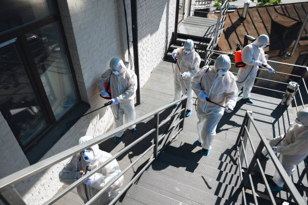 Best Post-Construction Mold Inspection  in Cicero, IN