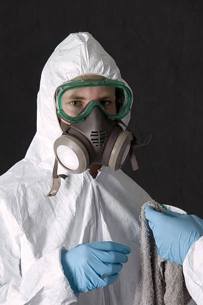 Best Post-Remediation Verification Testing  in Cicero, IN